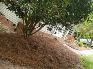 Our Mulch Installation service is a great way to add color and texture to your landscape while protecting your plants and soil from erosion. We can install mulch in any shape or size, so it's perfect for any home. for Flori View Landscaping LLC in Durham, NC
