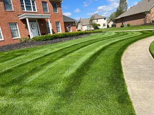 Our professional mowing service ensures your lawn is consistently trimmed to perfection, enhancing the overall aesthetic of your property and saving you time and energy for other landscaping tasks. for Mark’s Mowing & Landscaping LLC  in Ashville, OH