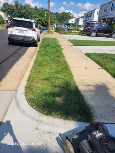 Our professional mowing service ensures your lawn stays well-maintained, delivering a pristine and enjoyable outdoor space for you to relax in. for Papayards in Arlington, VA