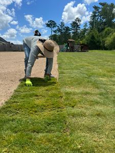 Our Sod service offers homeowners a convenient and efficient way to achieve a lush and healthy lawn, providing instant beauty and enhancing the overall appeal of their property. for Djosey Landscapes in Wilmington, NC