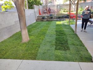 Our Lawn Maintenance service provides homeowners with regular upkeep and care for their lawns, ensuring a lush and healthy outdoor space all year round. for 2 Brothers Landscaping in Albuquerque, NM