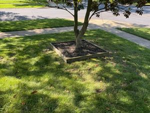 Our Snow Removal service ensures your property remains safe and accessible during winter, providing efficient clearing of driveways and walkways with top-notch equipment. Trust us for reliable snow removal throughout the season. for Walsh Lawn And Landscape in Olney, MD