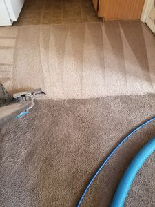 Our professional carpet cleaning service uses advanced techniques and equipment to effectively remove dirt, stains, and allergens from your carpets, restoring their original beauty and ensuring a healthier living environment. for Pro Clean Carpet Care in Sierra Vista, AZ