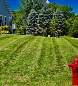 Enhance your lawn's health and beauty with our expert fertilizing services, tailored to provide essential nutrients for lush, green growth all year round. experience a vibrant lawn that stands out! for Paradise Lawnscapes in West Bend, WI