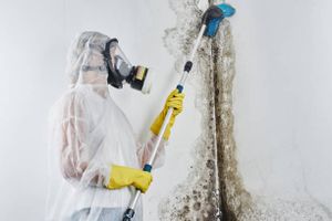 Our Mold Mitigation service helps homeowners combat and eliminate harmful mold growth in their homes, ensuring a safe and healthy living environment. for New England Water and Mold in Southbury, CT