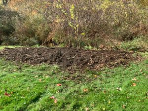 experience a refreshed outdoor space with our Yard Cleaning service, part of our comprehensive deep home cleaning service. We ensure your garden and lawn look pristine and welcoming all year round. for Bruce's Removal Demolition and Tree Services in Gilsum, NH