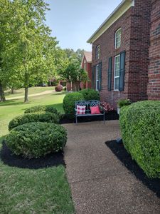 We provide professional shrub trimming services to maintain a neat, clean, and healthy appearance in your yard. Let us help you get the look you desire! for Freedom Works Lawnscaping in Dyer County, Tennessee