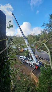 Enhance your landscape's beauty and safety with our professional tree trimming service. Our expert team ensures healthy growth and aesthetic appeal by removing dead branches, promoting better structure, and reducing hazards. for Sasquatch Tree Services LLC in Spartanburg, SC