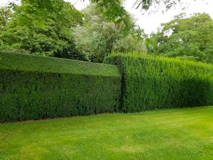 Our Hedge Trimming service provides precise and efficient trimming of hedges, shrubs and bushes to enhance the curb appeal of your property. Contact us for a professional touch to your landscape maintenance. for MCM Landscape Management Inc in Johnston,  RI