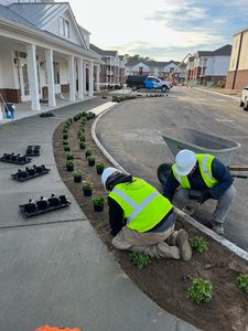 The Seasonal Color Planting service provides expert, thorough, and professional planting services for seasonal color in your garden or landscape. We will work with you to choose the best plants and planting plan for your needs, and will take care of all the planting work for you. for LodgeLawn LLC in Chesapeake, VA