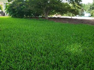 Our mowing service helps keep your lawn looking neat and tidy. We offer regular maintenance to ensure healthy growth year-round. for HT Outdoor Living in Freeport,  FL