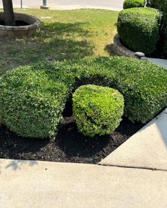 Our Shrub Trimming service will professionally enhance the appearance of your landscaping by shaping and maintaining shrubs, creating a neat and visually pleasing outdoor space for you to enjoy. for CS LawnCare  in San Antonio,  TX