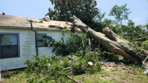 Our Tree Removal service provides safe and efficient removal of unwanted trees from your property, ensuring a clean and aesthetically pleasing environment for your home. for Oak Root Tree & Lawn Services in Sulphur Springs, Texas