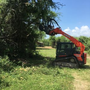 We specialize in trimming trees and removing them when necessary. We have the experience and equipment to do the job right. for New Life Property Service in Hallettsville, Texas