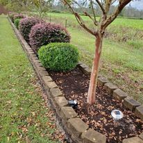 Our shrub trimming service is the perfect way to keep your landscaping looking its best. We'll take care of trimming and shaping your shrubs so we look neat and tidy. for All in One Landscaping in Jacksonville, NC