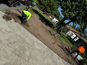 Transform your lawn with our professional sodding service, providing lush, green grass quickly. Our team expertly installs high-quality sod for an immediate curb appeal boost and a vibrant outdoor space. for Duck's Lawn & Tree Service, LLC. in Lakeland, FL