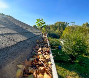 Protect your home from water damage! Gutter Debris Removal gets rid of blockages, ensuring efficient rainwater drainage and protecting your roof, walls, and foundation from costly repairs. Essential for property maintenance. for Elite Wash LLC in Roanoke, Virginia