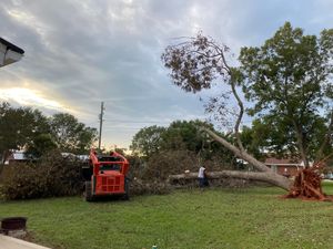 Our expert land clearing services efficiently prepare your property for construction or renovation by removing trees, stumps, and debris. Discover what is land clearing to achieve a pristine starting point today. for HGO Construction & Grading LLC in Spartanburg, SC