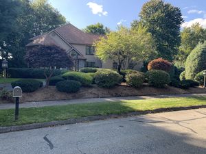 Our shrub trimming service is a great way to keep your bushes looking neat and tidy. We will trim them into the desired shape, and remove any dead or overgrown branches. for B&L Management LLC in East Windsor, CT