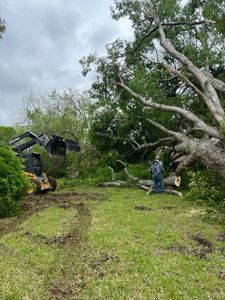 Our professional tree removal service ensures safe and efficient removal of unwanted or hazardous trees, enhancing your property's beauty and safety. Trust our experts for reliable solutions tailored to your needs. for Best Price Tree Service in Hallsville, TX