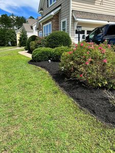 We provide expert shrub trimming services to help your landscaping look neat and tidy. Our experienced team can quickly and efficiently shape bushes for a beautiful, finished look. for Freedom Landscape LLC in Chesterfield, VA