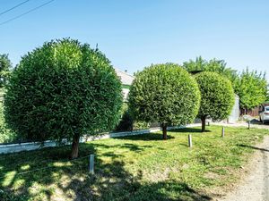 Enhance your landscape with our expert tree trimming and shrub trimming services, ensuring healthy growth, improved aesthetics, and safety for your home. experience precision care tailored to keep your greenery thriving year-round. for LD Professional Lawn Care in Lancaster, MA