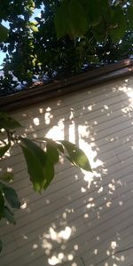 Our Siding service provides homeowners with quality and durable siding options to enhance the protection, insulation, and aesthetic appeal of their homes. for Hayes Tree And HandyMan Services LLC in , 