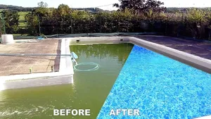 Our Pool Green to Clean service offers homeowners a comprehensive solution to transform their pool from a green and dirty state to clean and sparkling condition. for Splash Pros in Parrish, FL