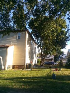 Our Fall and Spring Clean Up service helps homeowners maintain a tidy yard by offering thorough debris removal, leaf raking, and general cleanup services during the changing seasons. for Hayes Tree And HandyMan Services LLC in , 