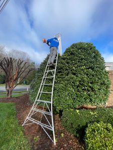 Our Shrub Trimming service ensures your shrubs remain neatly shaped and healthy, enhancing the overall appearance of your garden while saving you time and effort. for DLS Landscaping in Charlotte, NC