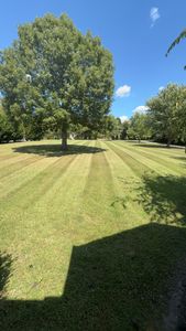  for Bew’s Lawn Care in Girdletree, MD