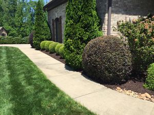 Our Shrub Trimming service ensures your shrubs are kept healthy and looking their best, with regular maintenance to keep them trimmed and neat. for Affordable Lawns and Trees in Oklahoma City, OK