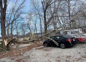 Our professional Tree Removal service safely and efficiently eliminates unwanted trees from your property, enhancing safety, aesthetics, and overall landscape health. Contact us today for a free consultation. for Native Roots Tree Service in Falmouth, MA