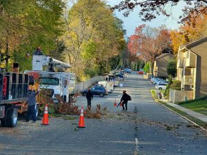 Get your yard ready for winter with our Fall Clean Up service, which includes leaf removal, branch trimming, and debris clearing to ensure a tidy and healthy outdoor space all season long. for W D Giampa Lawns and Landscape Inc. in Independent Hill, VA