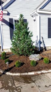 Our Mulch Installation service offers homeowners an efficient and hassle-free solution to beautify their landscaping with the application of high-quality mulch in various colors and materials. for Matty L's Lawn and Tree Care in Monroe, CT