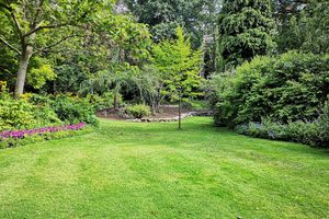 Our Lawn Maintenance service is the perfect solution for busy homeowners who want a well-manicured lawn without the hassle of doing it themselves. Our team of experienced professionals will take care of everything, from mowing and edging to weed control and fertilization. for Rocky's Pressure Washing & Lawn Care in Mooresville, NC