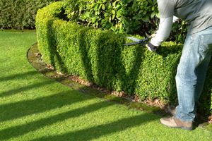 Our shrub trimming service is the perfect way to keep your shrubs looking their best all year long! We will trim them to perfection, ensuring that they look great and are healthy. for CRC Affordable Quality Lawn Care LLC in Clintwood, VA