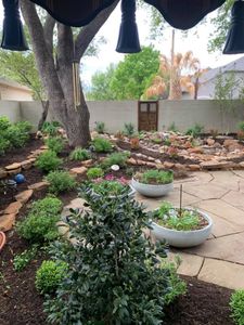 Our mulch installation service will help enhance the look of your garden while protecting soil and plant roots. Let us make your yard beautiful! for Platinum Landscape Design LLC in San Angelo, Texas
