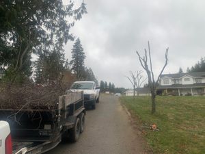 We plant and trim trees to create a beautiful landscape for your home. Our experienced team will ensure that the job is done efficiently and safely. for Avenscapes NW, LLC in Getchell, Washington