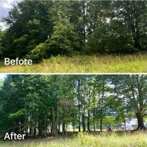 Our Brush Removal service helps homeowners clear out unwanted vegetation and overgrown brush from their property, enhancing the aesthetics and safety of their outdoor spaces. for Fayette Property Solutions in Fayetteville, GA