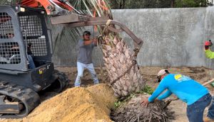 Sylvester palm trees, southern live oaks, fruit trees, podocarpus just to name a few of the beautiful trees we can install for you! No job is too big or too small. We have the necessary equipment and knowledge to bring you a great experience all around.  for Everything for the Home Inc. in Santa Rosa Beach, FL