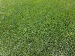 Our mowing service provides professional, reliable lawn care to keep your lawn looking its best. We offer competitive prices and quality workmanship. for Terra Bites Lawn Service in Braselton, GA