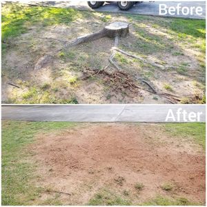 Following tree removal it is important to properly grind and removal the remaining stump. We have the equipment and expertise to do so. for Fayette Property Solutions in Fayetteville, GA