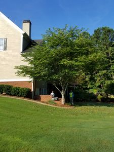 We offer complete tree removal services that include stump grinding. On top of that, we use special equipment to ensure your turf and surrounding landscape doesn’t get damaged or destroyed in the process. Call us today for a quote! for Fayette Property Solutions in Fayetteville, GA