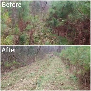 We can help with tree and brush removal, R.O.W reclamation and mowing to ensure proper Right of Way needs are met.  for Fayette Property Solutions in Fayetteville, GA