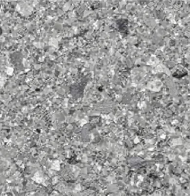 Oyster Shell
