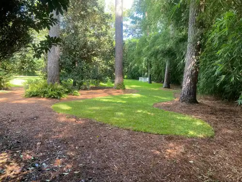 Land clearing and site prep by TerraPro Development
