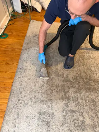 Area Rug Cleaning