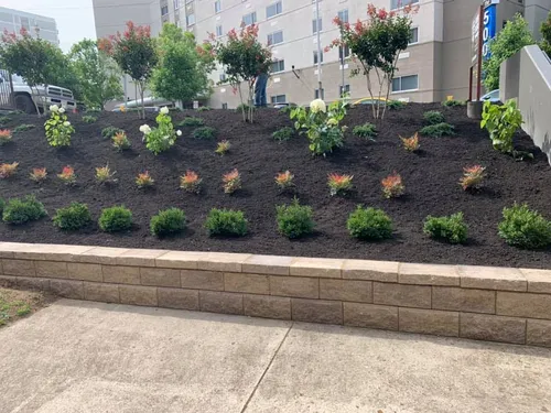 Our Mulch Installation service provides homeowners with a beautiful, finished look to their landscape. We use top quality mulch and install it according to the homeowner's specifications. for The Right Price Right Choice Lawn Care Services in Murfreesboro, TN