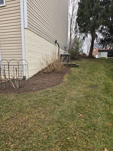 Shrub Trimming for W D Giampa Lawns and Landscape Inc. in Manassas, VA
